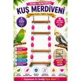 Petshop Boncuklu Ahşap Kuş Merdiveni Zilli Muhabbet Kuşu Sultan Papağanı Oyuncağı ( Renk Değişkenlik Gösterebilir )