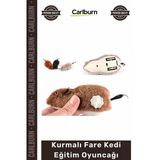 #Petshop İnteraktif Hareketli Mekanik Avcılık İçgüdü Geliştiren Kurmalı Fare Kedi Eğitim Oyuncağı
