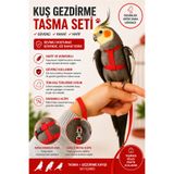 Petshop Kırmızı Kuş Gezdirme Tasması Seti Ayarlanabilir Papağan Uçuş Tasması Muhabbet Kuşu Sultan Papağanı Cennet Papağanı Güvenli Gezdirme Kayışı