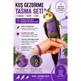 Petshop Mor Kuş Gezdirme Tasması Seti Ayarlanabilir Papağan Uçuş Tasması Muhabbet Kuşu Sultan Papağanı Cennet Papağanı Güvenli Gezdirme Kayışı