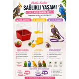 Petshop Mor Kuş Tasması + Kuş Banyosu + Kuş Suluğu 3’lü Kuş Bakım Seti Muhabbet Kuşu Papağan ( Renkler Değişkenlik Gösterebilir )