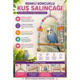 Petshop Renkli Boncuklu Zilli Kuş Salıncağı Ahşap Tünek Oyuncağı | Muhabbet Kuşu, Kanarya, Sultan Papağanı ve Sevda Papağanı İçin ( Renk Değişkenlik Gösterebilir )