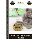 #Petshop Yapışkanlı Duvar Oyuncak Isırma Çiğneme Yalana Egzersiz Doğal Nane Kedi Otu Oyun Topu