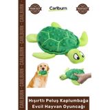 Petshop Yumuşak Sesli Diş Kaşıyıcı Köpek Eğitici Hışırtlı Peluş Kaplumbağa Evcil Hayvan Oyuncağı cok-renkli