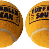 PetSport Squeak Tenis Topu Köpek Oyuncakları | Büyük Köpekler için 2 Paket Dev (4 inç) Tüf Squeaker Topları | Evcil Hayvan Güvenli Dayanıklı Toksik Olmayan Keçe ve Kauçuk | Getirme, Egzersiz, Tren