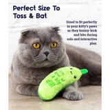 Petstages Crunch Pickle Kicker Dental Catnipli Kedi Oyuncağı