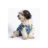 Petsuit Kedi/Köpek Yara Koruyucu Korse, Ameliyat Sonrası Koruyucu Korse Tulum - Renkli Desenli