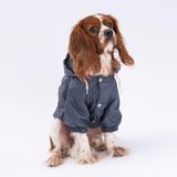 Pettrend Antrasit Mont Köpek Mont Köpek Kıyafeti Köpek Yağmurluğu XL