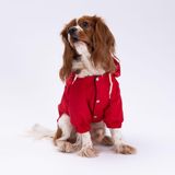 Pettrend Kırmızı Köpek Mont ve Yağmurluğu (Küçük-Büyük Irklar) L