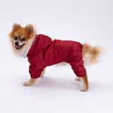 Pettrend Kırmızı Kürklü Tulum Yağmurluk Küçük Irk Yağmurluk Köpek Kıyafeti Köpek Yağmurluğu
