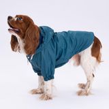 Pettrend Köpek Yağmurluğu (Küçük-Büyük Irklar) L
