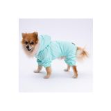 Pettrend Mint Kürklü Tulum Yağmurluk Küçük Irk Yağmurluk Köpek Kıyafeti Köpek Yağmurluğu