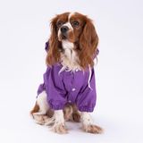 Pettrend Mor Mont Köpek Mont Köpek Kıyafeti Köpek Yağmurluğu(Küçük-Büyük Irklar) 7XL