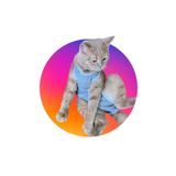 Petwinn Ameliyat Sonrası Koruyucu Kedi Köpek Tulumu Kolsuz Sırttan Cırtlı Giysi