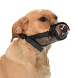 Petza Köpek Ağızlık Pomop Ayarlanabilir, XS