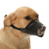 Petza Köpek Ağızlık Zordie Ayarlanabilir, Tek Ebat TYPETZA44132