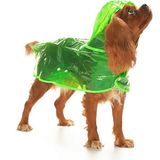 Petza Köpek Küçük ve Orta Irk Yağmurluk Otso Şeffaf Yeşil - L