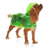 Petza Köpek Küçük ve Orta Irk Yağmurluk Otso Şeffaf Yeşil - S