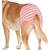 Petza Köpek Külot - Özel Günler İçin Çıkarılamaz Çamaşır Pembe - Renkli - XL
