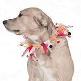 Petza Köpek Lastikli Ponpon Yakalık Mudi, S