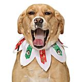 Petza Köpek Lastikli Yılbaşı Yakalık Hula, Tek Ebat TYPETZA4338S