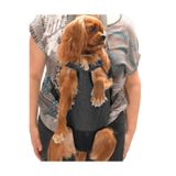 Petza Köpek Taşıma Köpek Ana Kucağı - Kedi Ana Kucağı Denim Gri, S