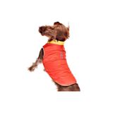 Petza Küçük ve Orta Irk Köpek Mont Murpota Turuncu, S