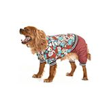 Petza Küçük ve Orta Irk Köpek Paçalı Mont - Bado, L