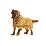 Petza Küçük ve Orta Irk Köpek Paçalı Mont Bicorn, L