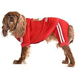 Petza Küçük ve Orta Irk Köpek Pijama Tulum - Goba - Köpek Kıyafeti, S