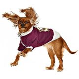 Petza Küçük ve Orta Irk Köpek Sweatshirt - Ingo Mor - Köpek Kıyafeti, S