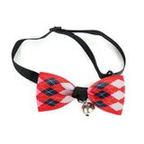 Petza Nurdo Bow Tie Kedi Tasması