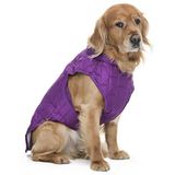 Petza Orta ve Büyük Irk Köpek Mont - Kylo, L