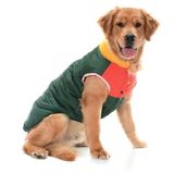 Petza Orta ve Büyük Irk Köpek Mont - Murpota Yeşil, 3XL