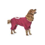 Petza Orta ve Büyük Irk Köpek Penye Tulum Dena, 3XL