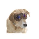 Petza Orta ve Büyük Köpek Güneş Gözlüğü Kimmo