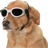 Petza Orta ve Büyük Köpek Güneş Gözlüğü Royna Beyaz