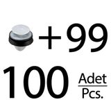 Peugeot, Citroen, Renault, Fiat, Lancia, DS için Döşeme Klips-100'lü