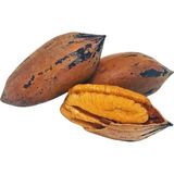 Peynircim Coşkun Gıda Kabuklu Pikan ( Pekan ) Cevizi 1 kg