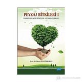 PEYZAJ BITKILERI AÇIK TOHUMLU BITKILER GYMNOSPERMAE - MURAT ZENCIRKIRAN