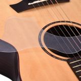 PG164 Pickguard Gitar Pena Koruyucu Şeffaf