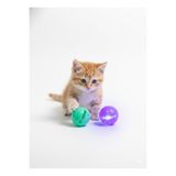PHENORA 2’li Set Işıklı Ve Çıngıraklı Kedi Oyun Topu | Eğlenceli Ve Hareketli Kedi Oyuncağı