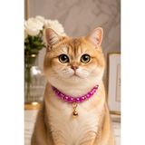 PHENORA Fark Yaratan Kedi Tasması - Çıngıraklı Dikkat Çeken Kedi Kolyesi - Mor