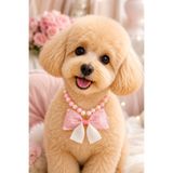 PHENORA Fiyonk Desenli Köpek Kolyesi - Şık Pembe Köpek Tasması