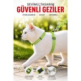 PHENORA Kedi Tasması Ayarlanabilir Beden Kedi Gezdirme Tasması 1.20m