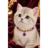 Phenora Kedi Tasması - Çıngıraklı Kedi Kolyesi - Ayarlanabilir Şık ve Zarif Kedi Aksesuarı - Mor