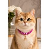 PHENORA Mor Kedi Kolyesi – Estetik Ve Şirin Çıngıraklı Kedi Tasması