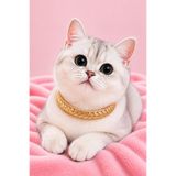PHENORA Parlak Taş Detaylı Kedi Tasması - Konforlu Hafif Kedi Aksesuarı