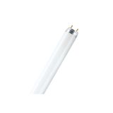 Philips 13w/3000k T 5 Floresan Lamba Sarı Made In Polland Floresan 2'li Paket