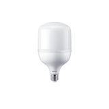 Philips 35w 6500k Beyaz ışık E27 Duy 5000 Lümen Tforce Led Ampul D Enerji Büyük Ebatlı 19cm 11.5cm Ebatlıdır